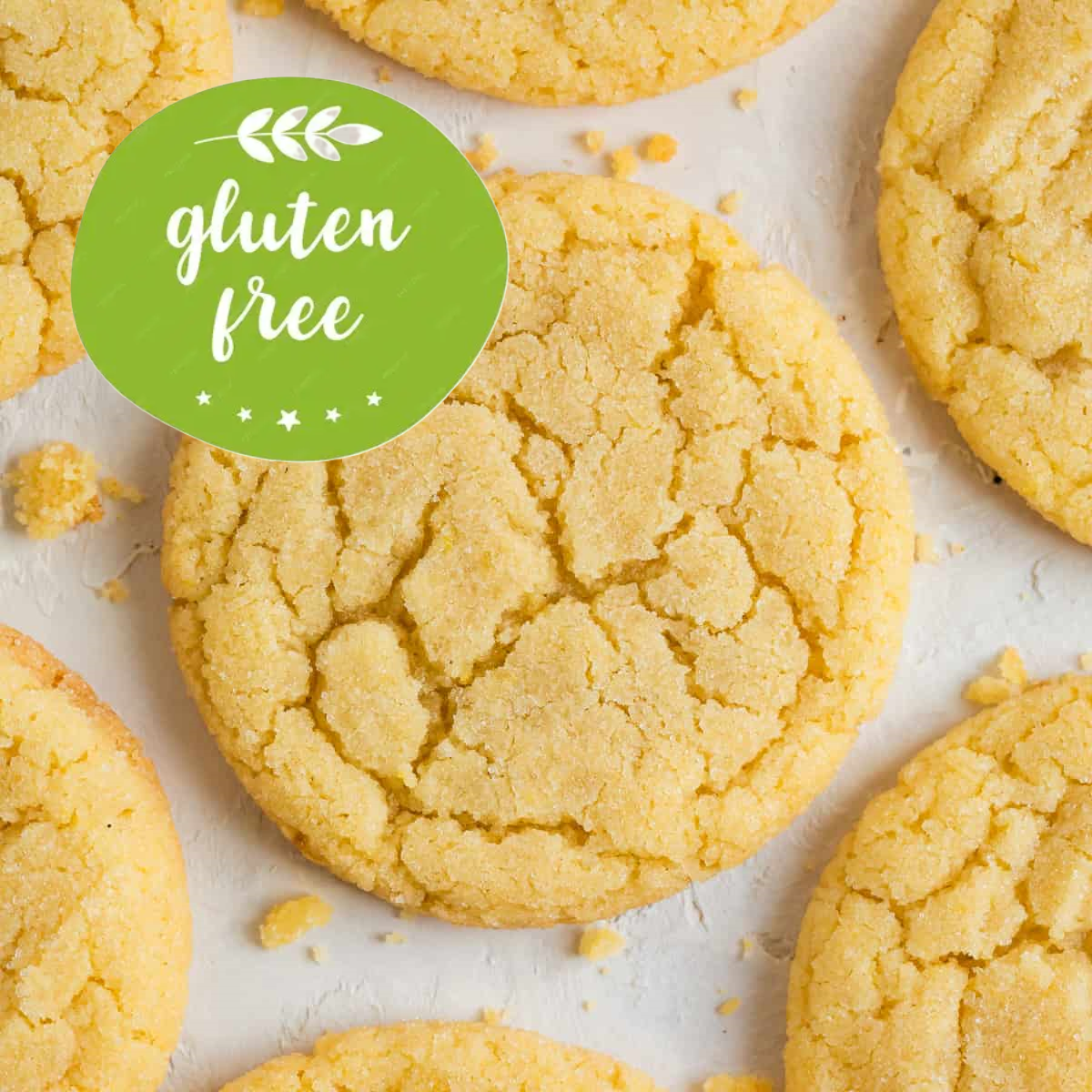 GLUTEN FREE Sugar Cookies