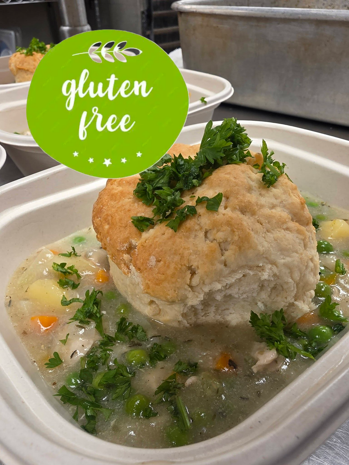 GLUTEN FREE Chicken Stew (Small)