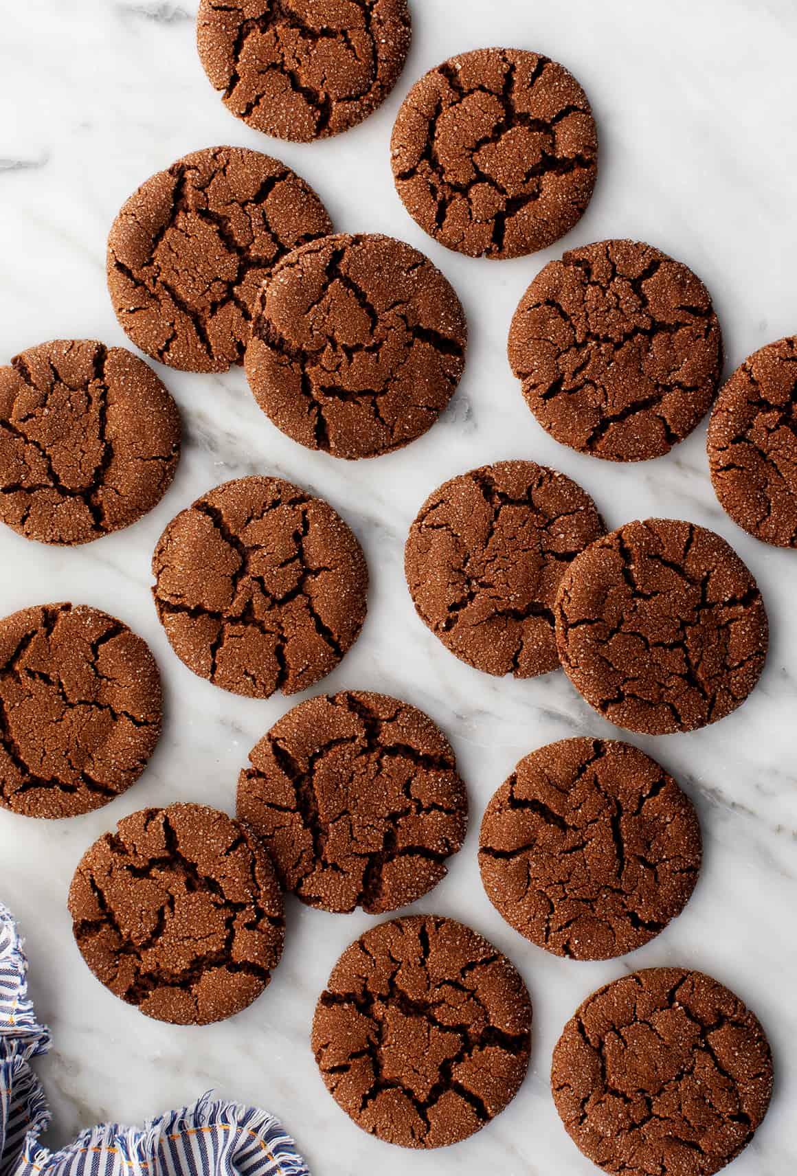 Gingerbread Cookies