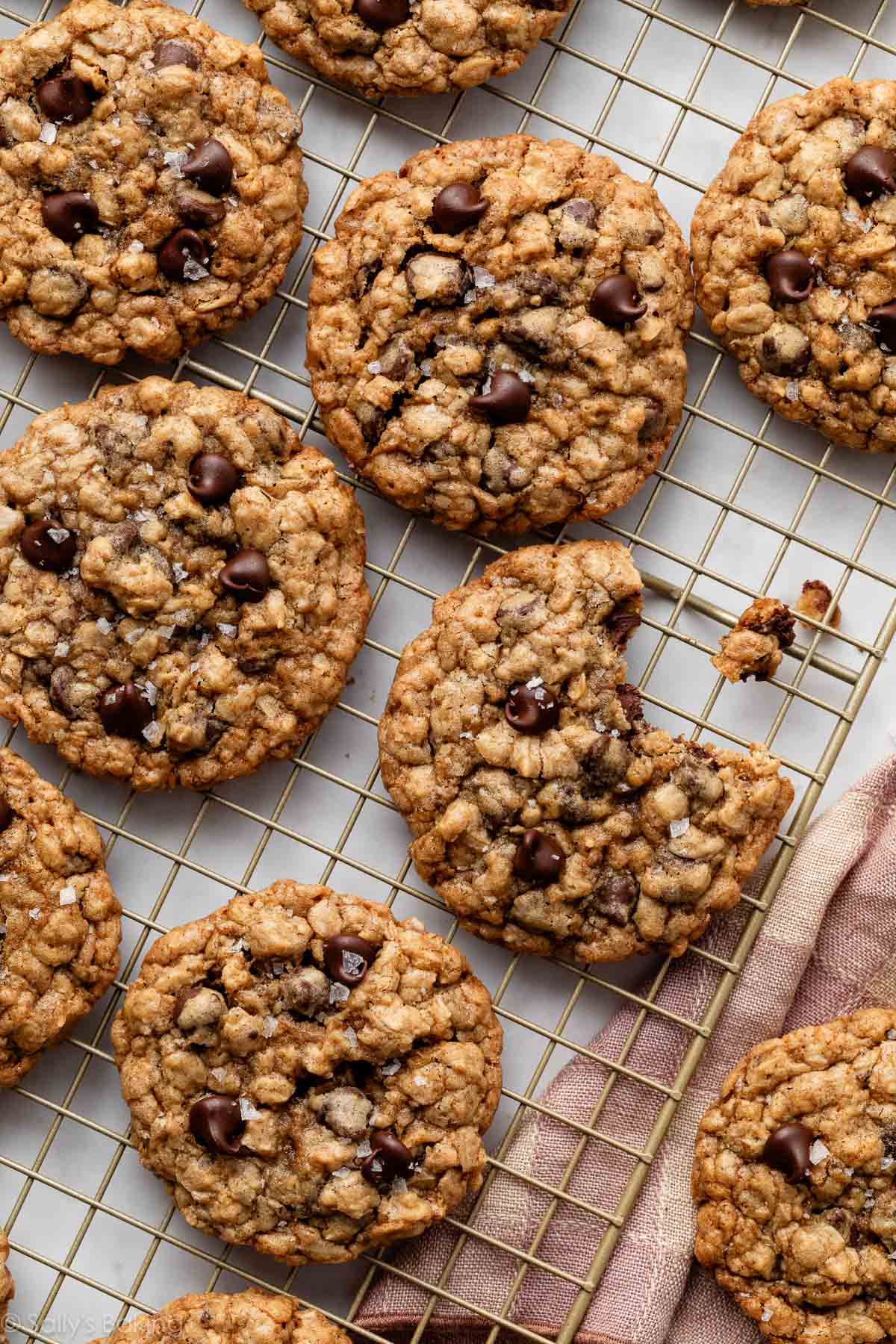 Oatmeal Chocolate Chip Cookies