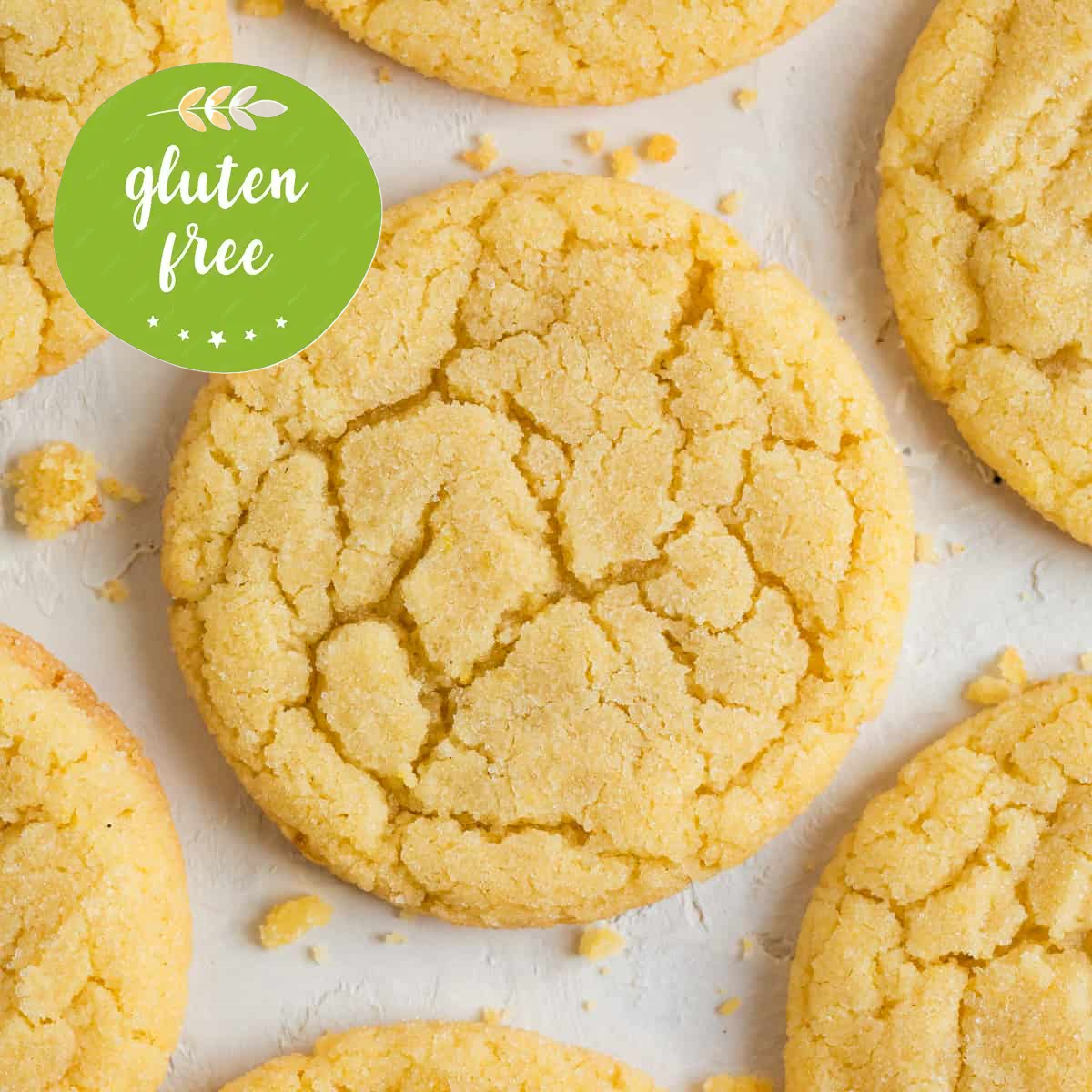 GLUTEN FREE Lemon Sugar Cookies