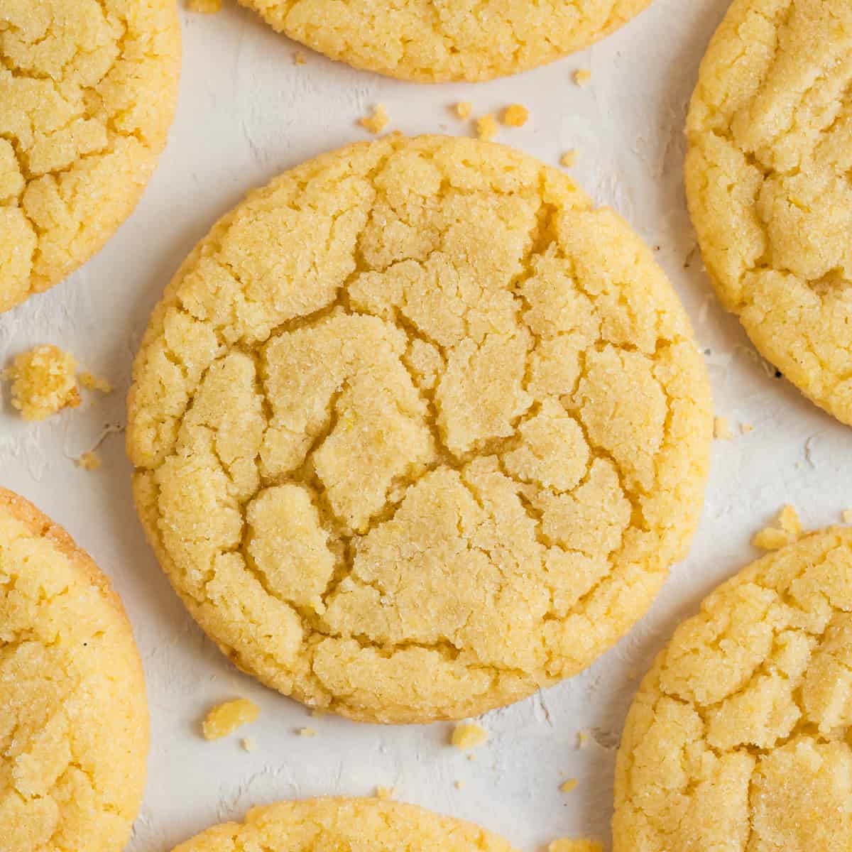 Sugar Cookies