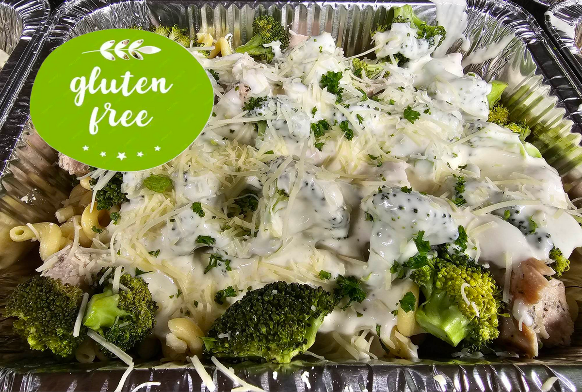 GLUTEN FREE Chicken Broccoli Alfredo Meal (Medium)