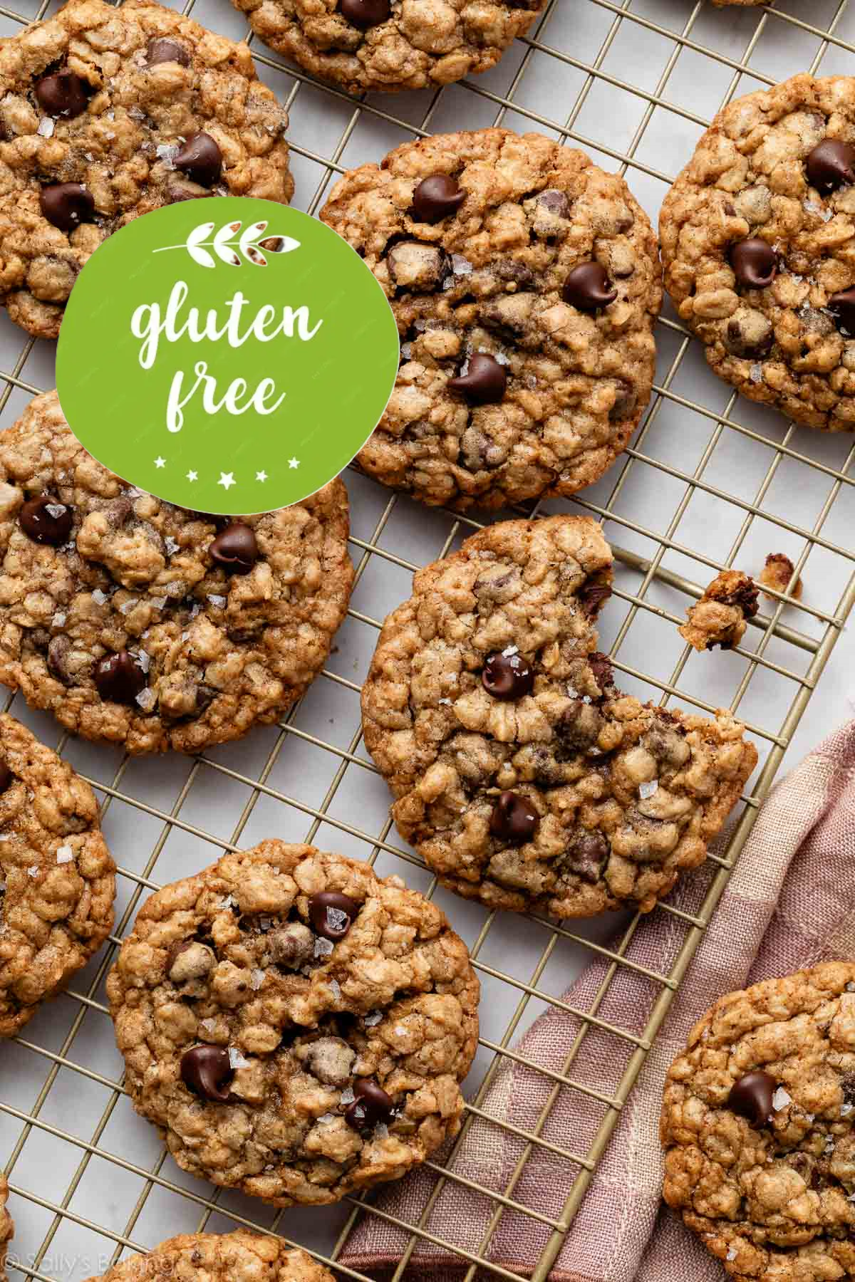 GLUTEN FREE Oatmeal Chocolate Chip Cookies